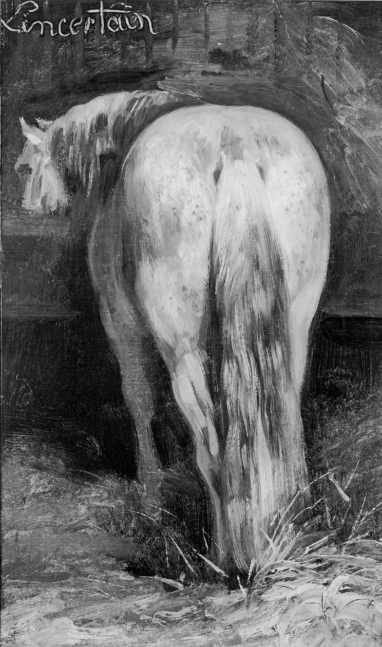 Epävarma, hevonen tallissa tekijältä Theodore Gericault
