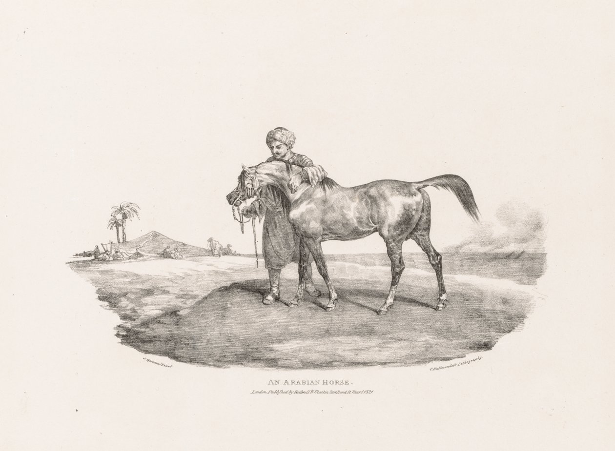 Erilaisia aiheita luonnosta ja kivelle piirrettyjä:  arabialainen hevonen tekijältä Theodore Gericault