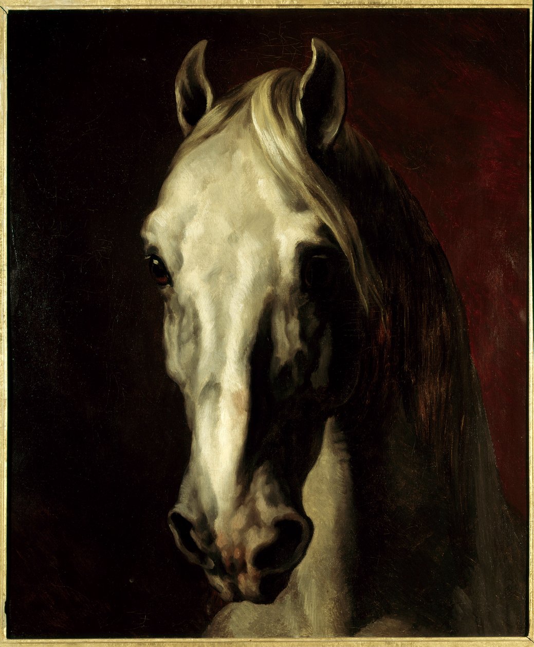 Valkoinen hevosen pää. Theodore Gericaultin (1791-1824) maalaus tekijältä Theodore Gericault
