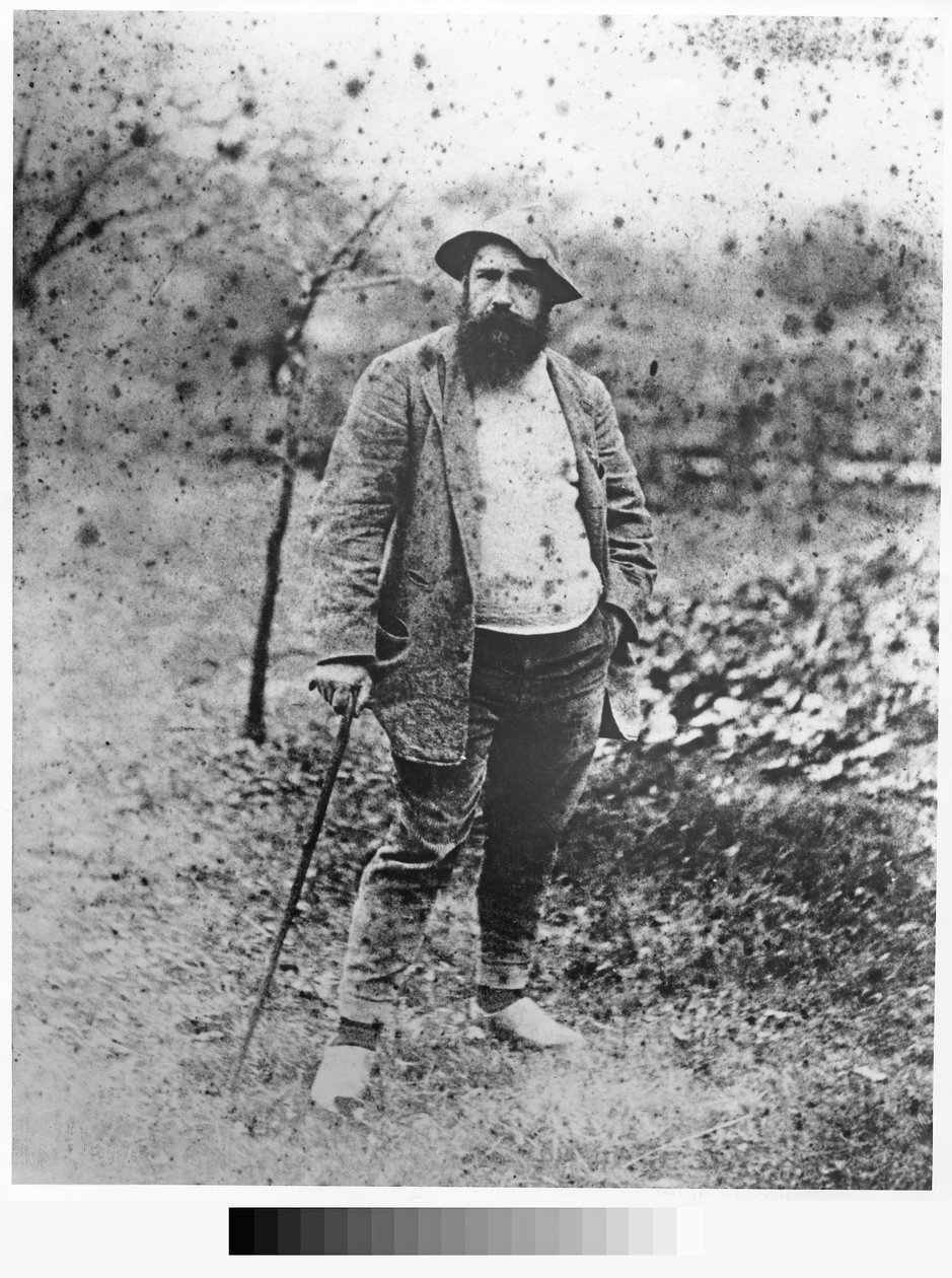 Claude Monet puutarhassaan, 1880 (hopeaprintti) tekijältä Theodore Robinson