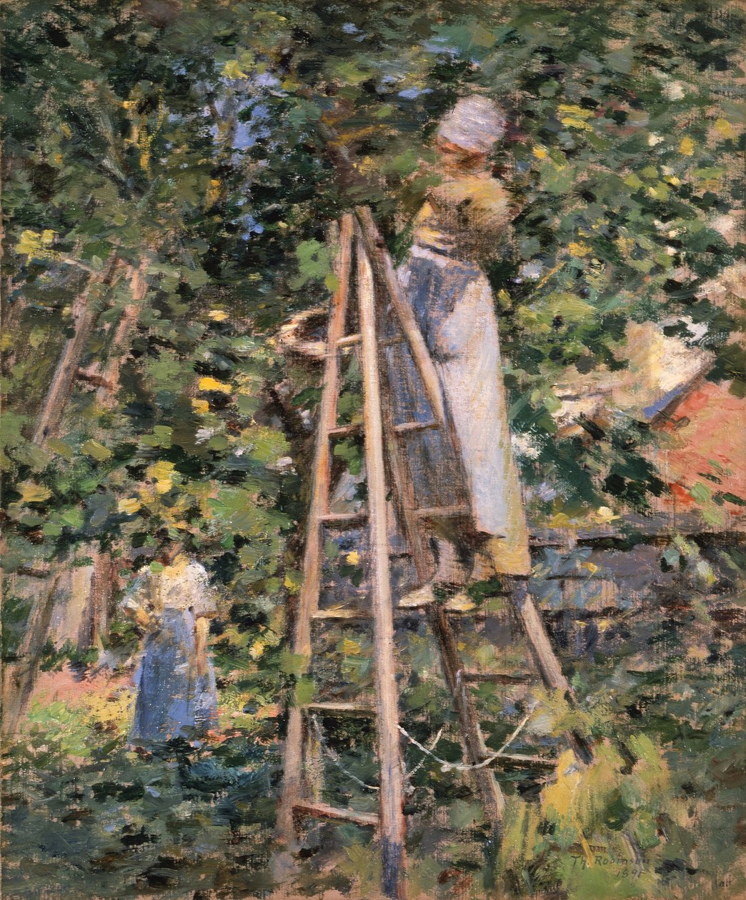 Luumien kerääminen tekijältä Theodore Robinson