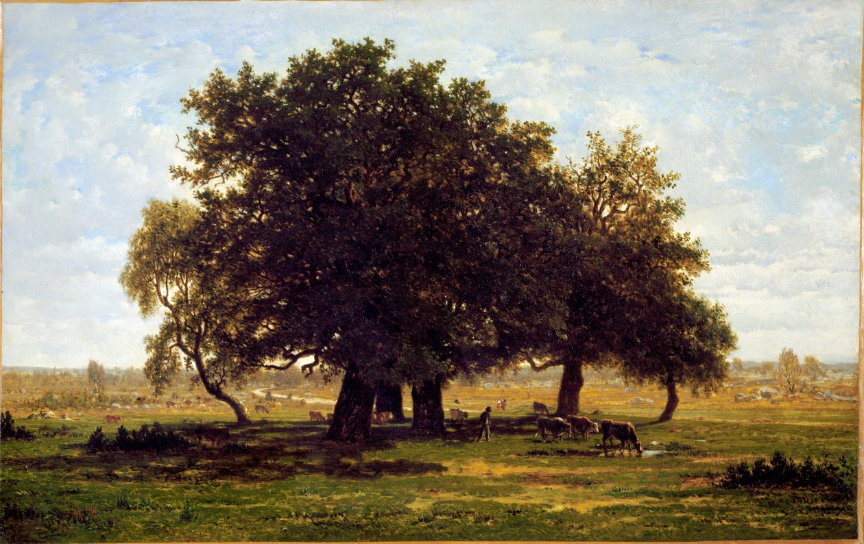 Ryhmä tammea, Apremont (Öljy kankaalle tekijältä Pierre Etienne Theodore Rousseau