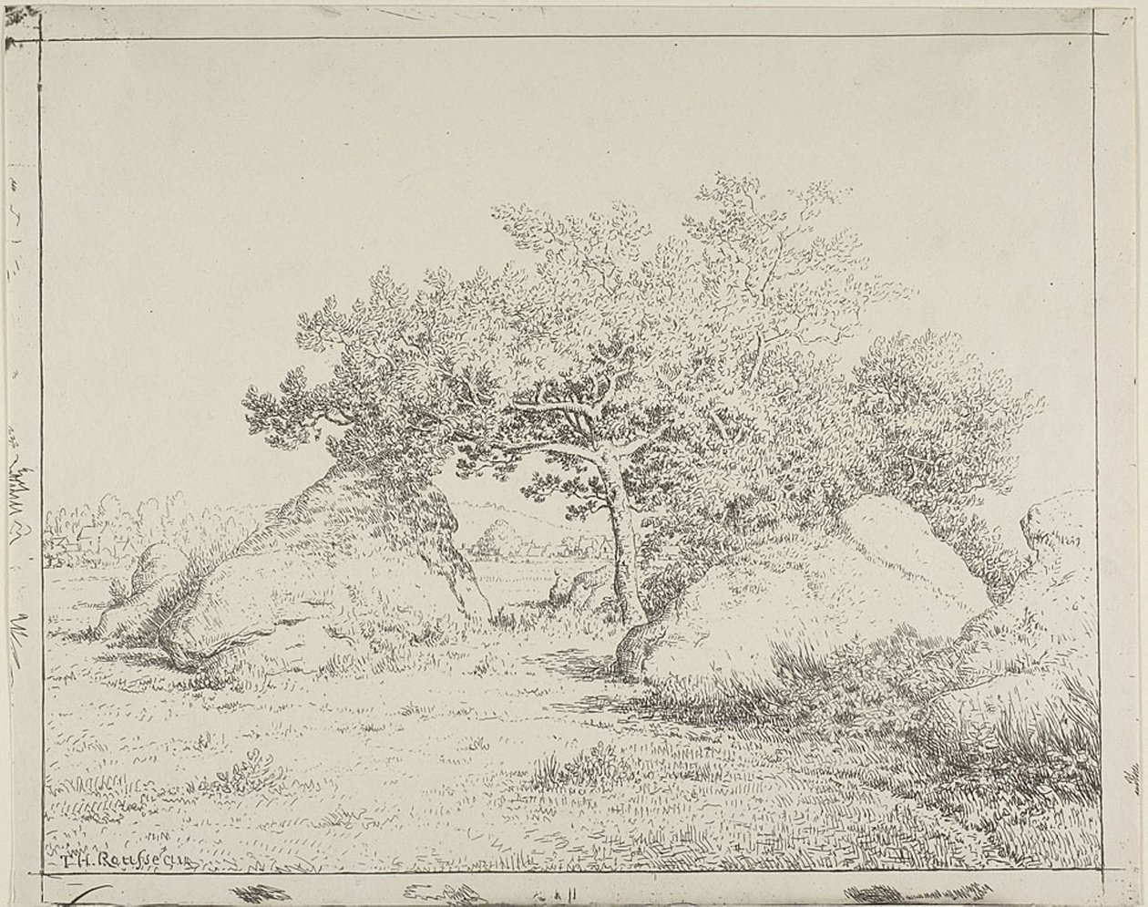 Kirsikkapuu Plante à Biaussa tekijältä Theodore Rousseau