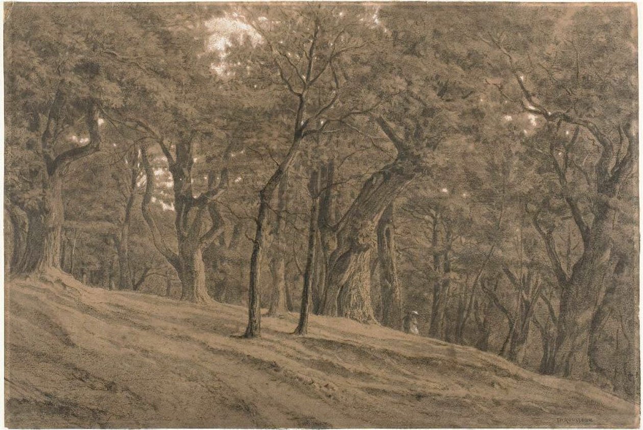 Fontainbleaun metsässä tekijältä Theodore Rousseau