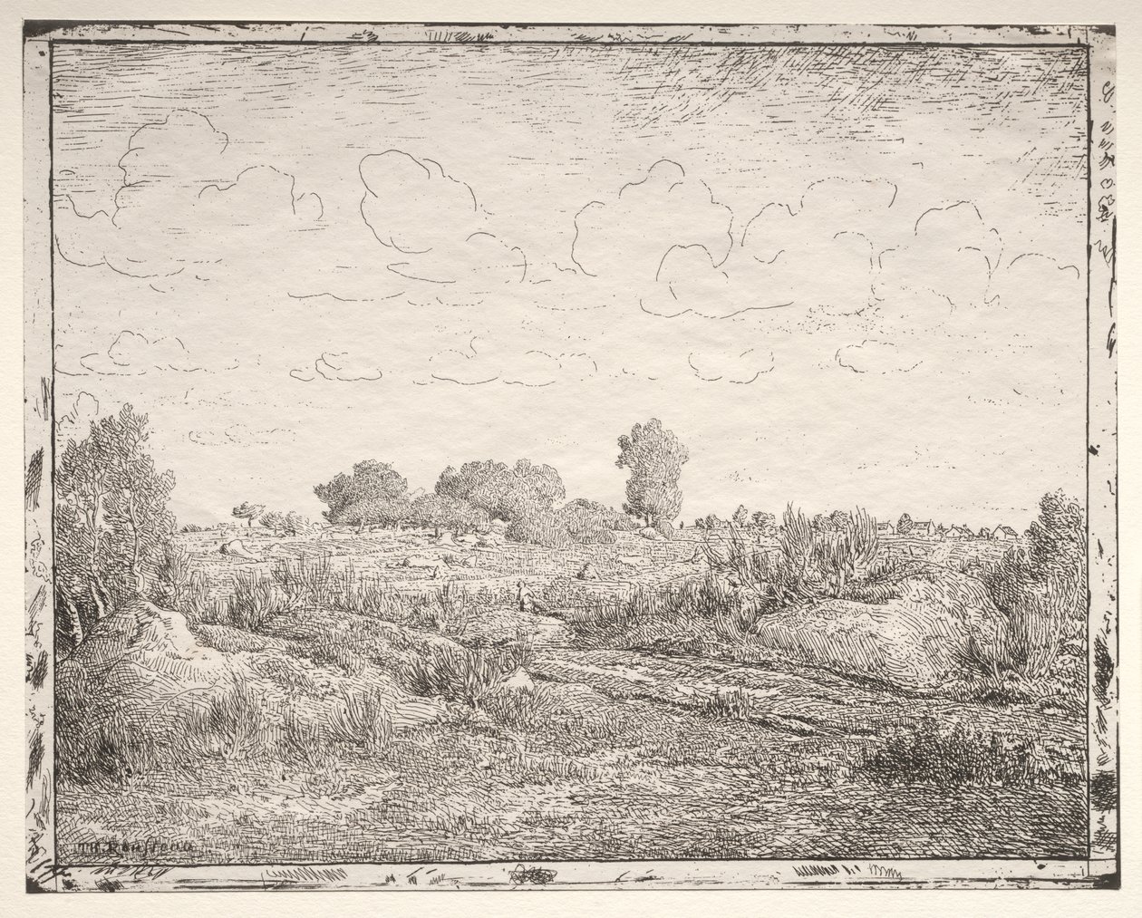 Plant Plain Biaussa tekijältä Theodore Rousseau