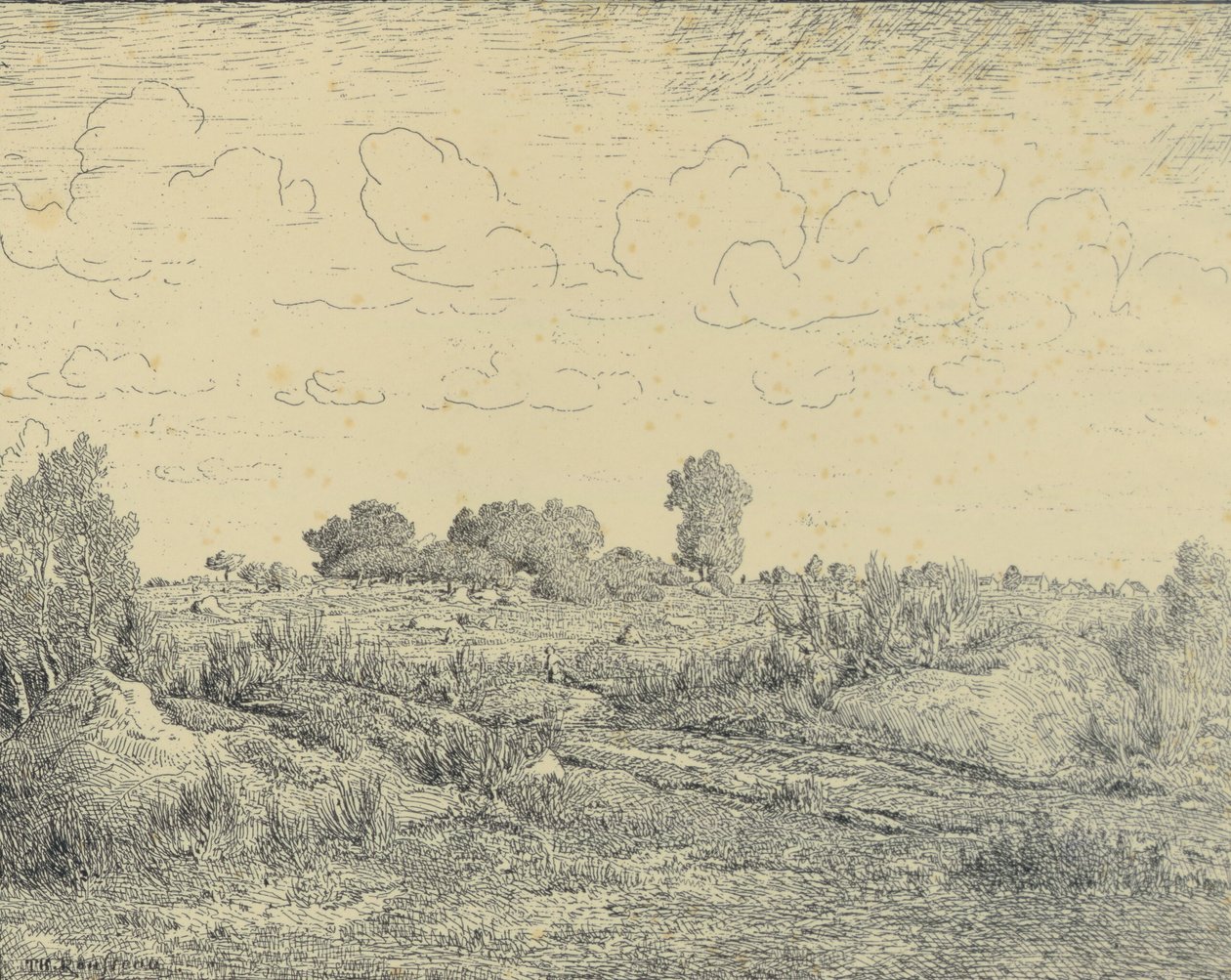 Plaine de La Plante Biaussa tekijältä Theodore Rousseau