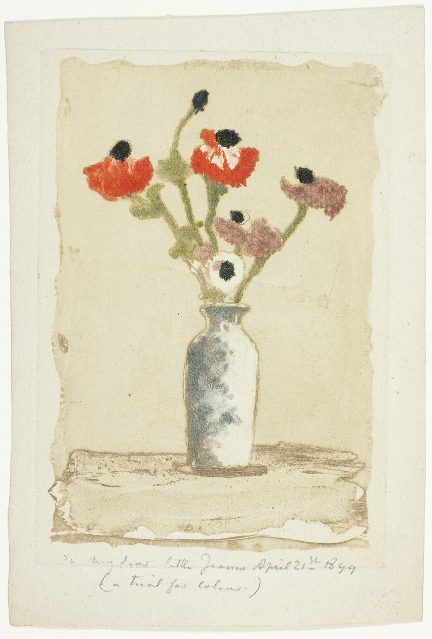 Anemones tekijältä Theodore Roussel