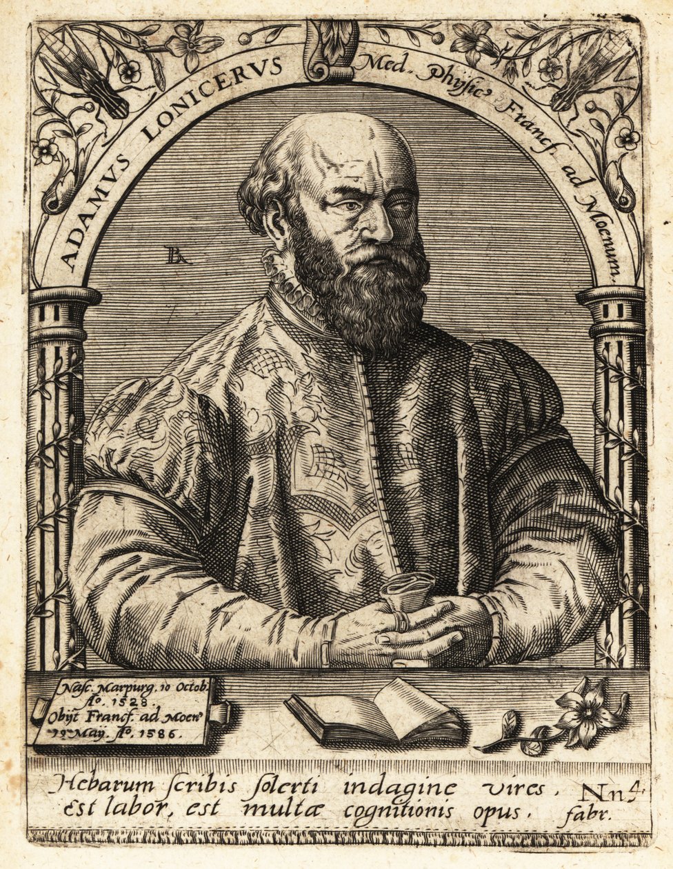 Adam Lonicer tai Lonitzer tekijältä Theodore de Bry