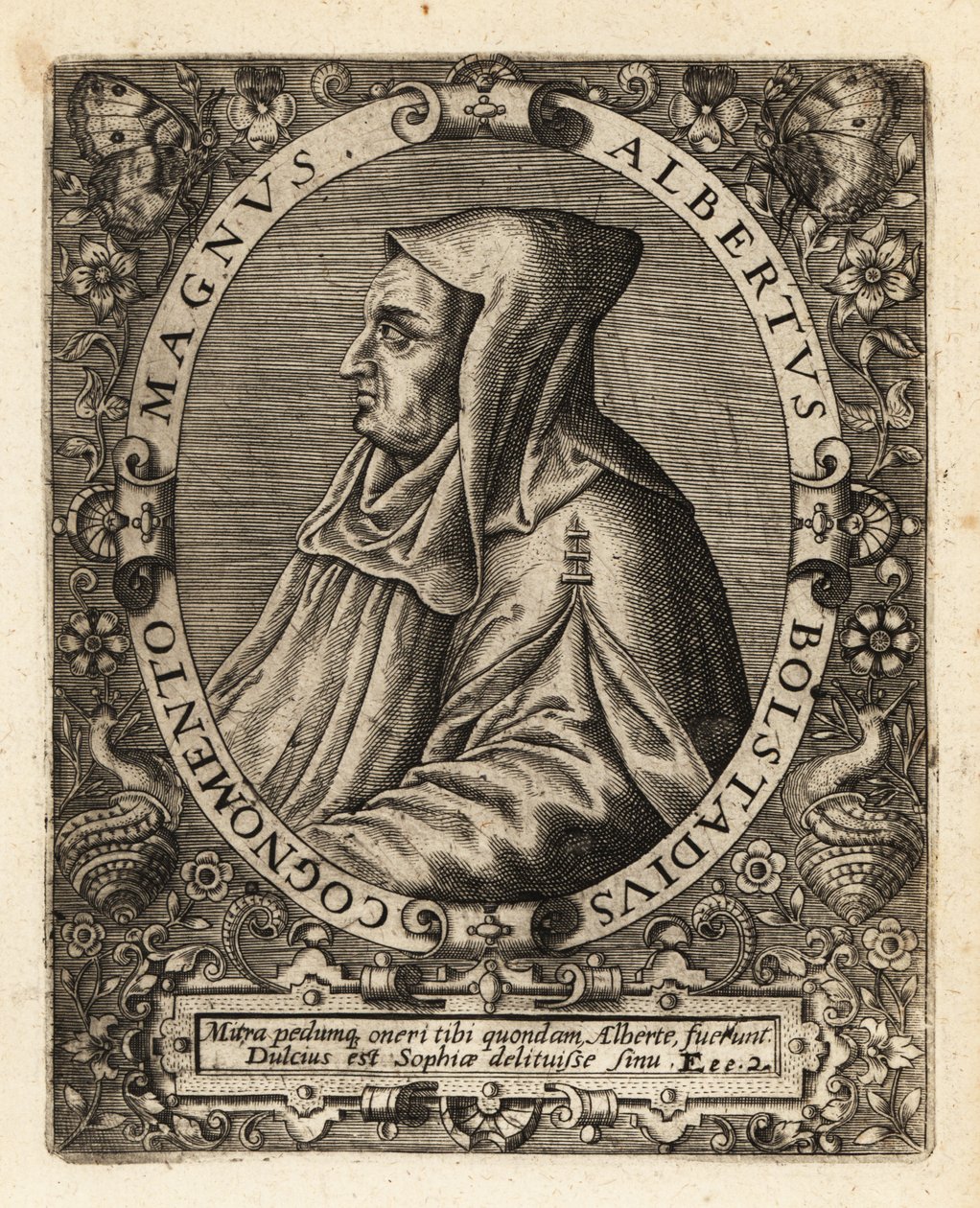 Albertus Magnus, Saksan katolinen piispa. tekijältä Theodore de Bry