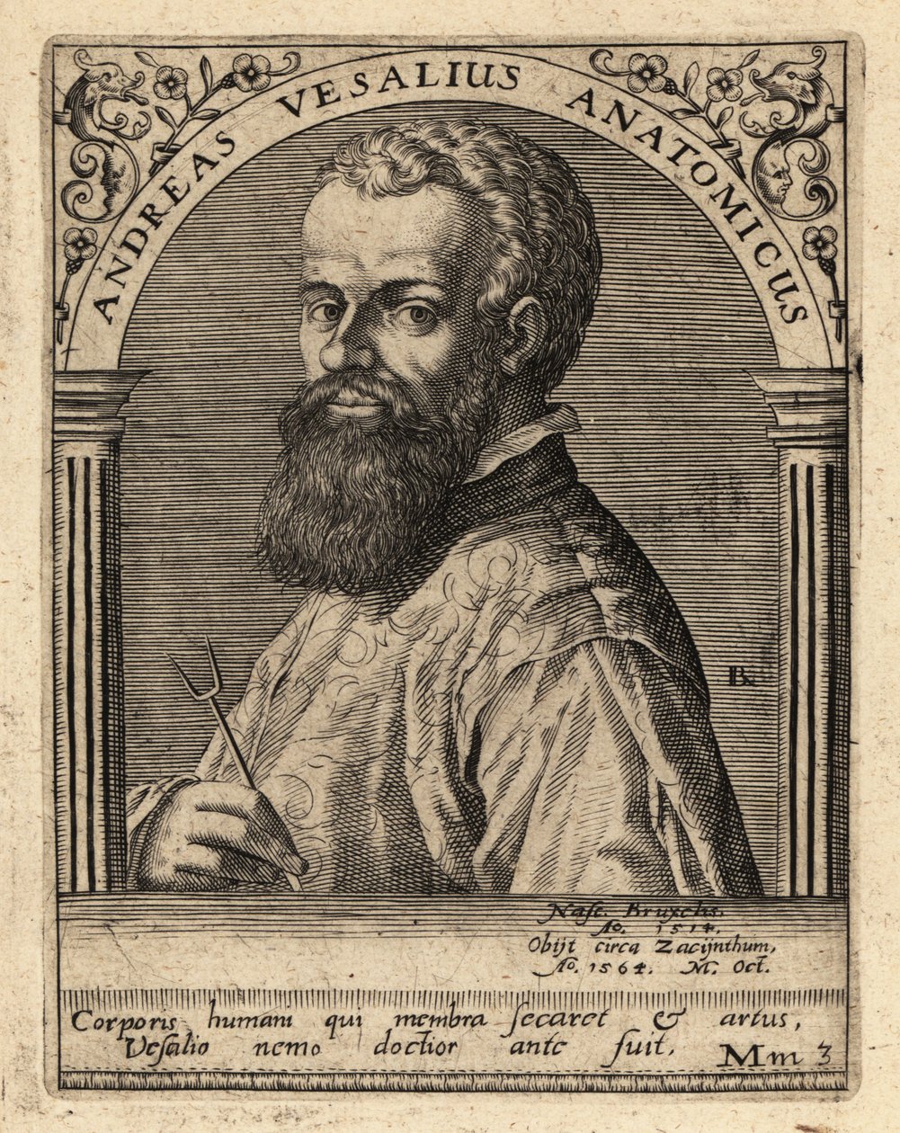Andreas Vesalius, flaamilainen lääkäri, anatomi tekijältä Theodore de Bry