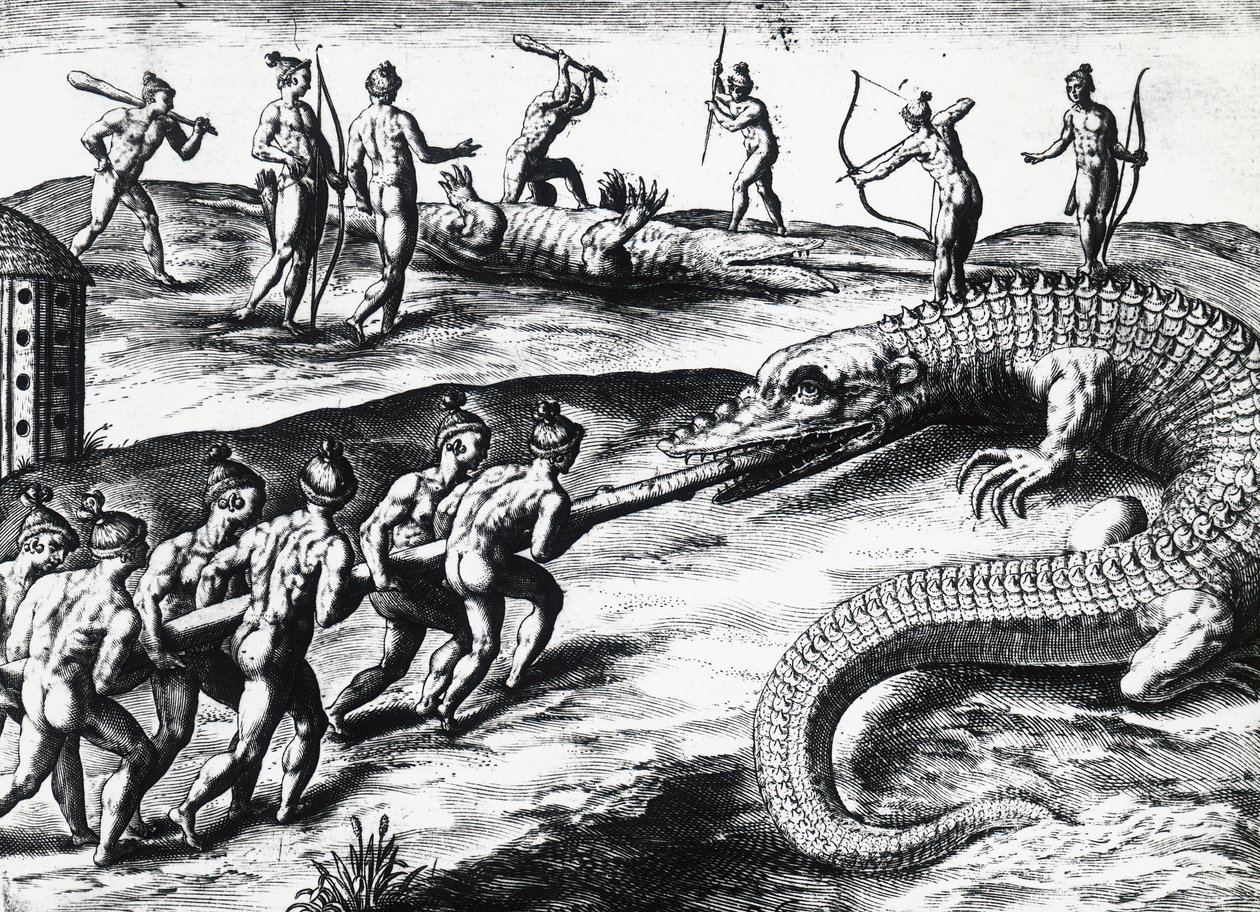 Krokotiilin metsästys Floridassa Jacques le Moyne de Morguesin (noin 1533-ennen 1588) maalauksesta, Theodor de Bry (1528-1598). kaiverrus tekijältä Theodore de Bry