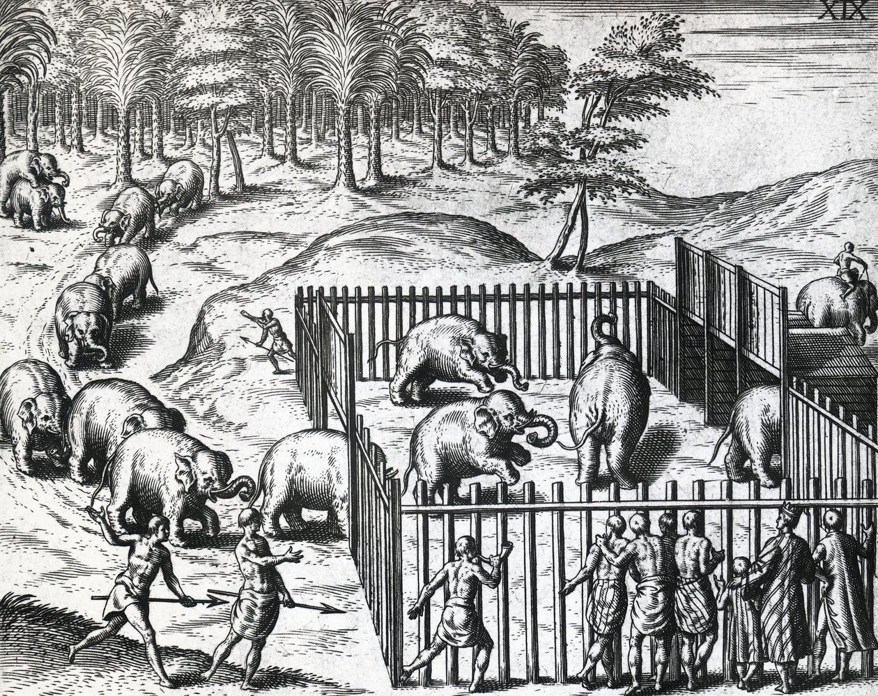 Elefantin metsästys Pegun valtakunnassa, nykyisessä Myanmarissa, Theodor de Bry (1528-1598), kaiverrus tekijältä Theodore de Bry