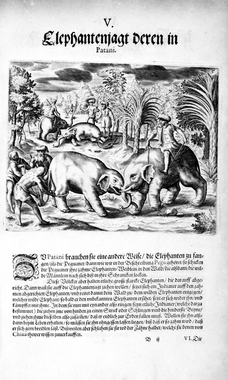 Elefanttien taistelu, 1606 tekijältä Theodore de Bry