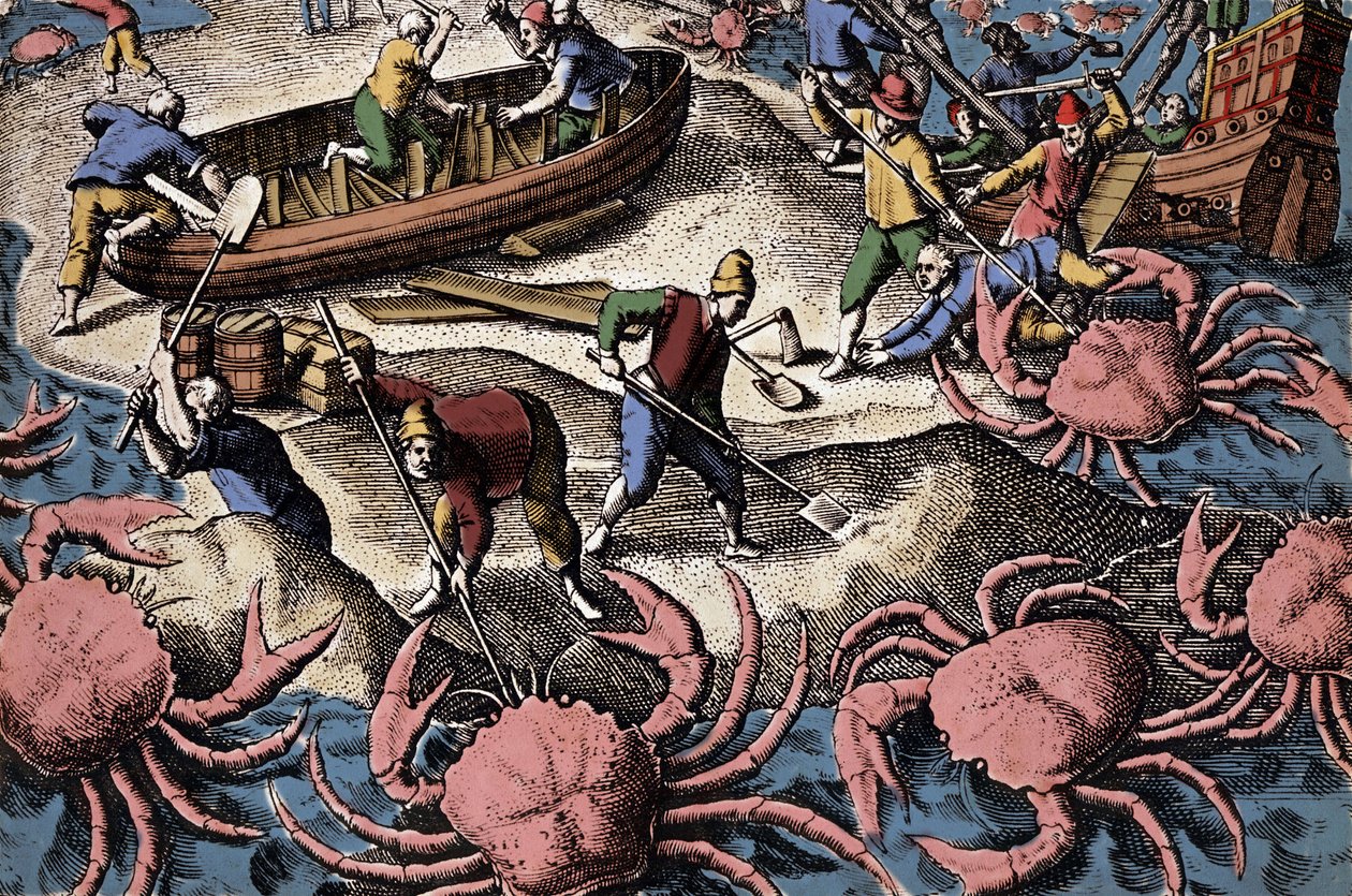 Eurooppalaiset navigaattorit taistelevat isorapua vastaan. Kaiverrus Theodore de Bryn teoksesta "Petities voyages aux Indes Orientales" tekijältä Theodore de Bry