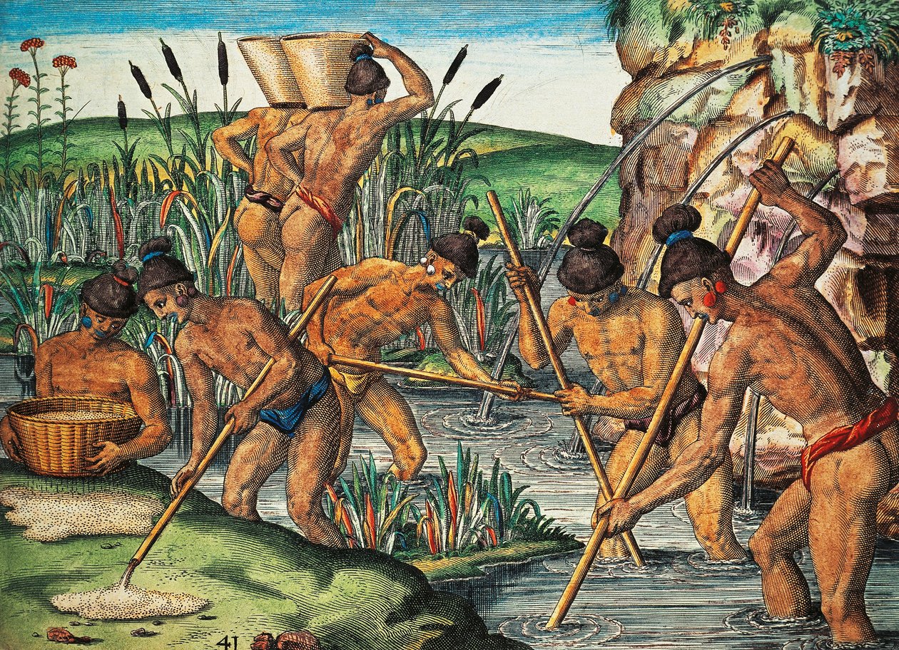 Kullankaivajat Floridassa, Theodor de Bryn (1528-1598) värillinen kaiverrus Jacques le Moyne de Morguesin (noin 1533-ennen 1588) maalauksesta Brevis Narratiosta tekijältä Theodore de Bry