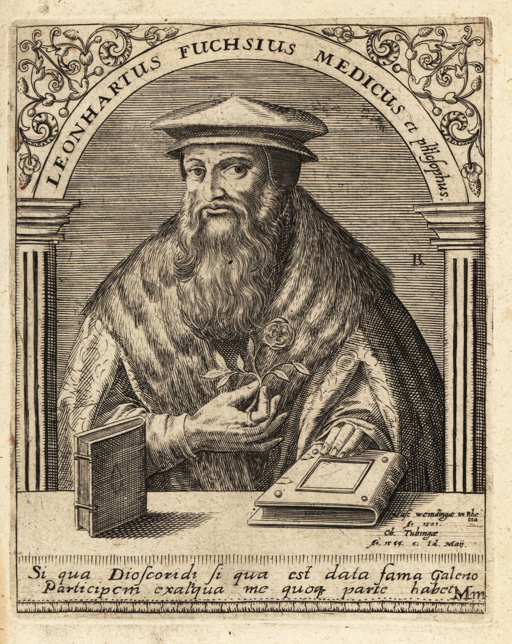 Leonhart Fuchs, saksalainen lääkäri ja kasvitieteilijä 1501-1566. tekijältä Theodore de Bry