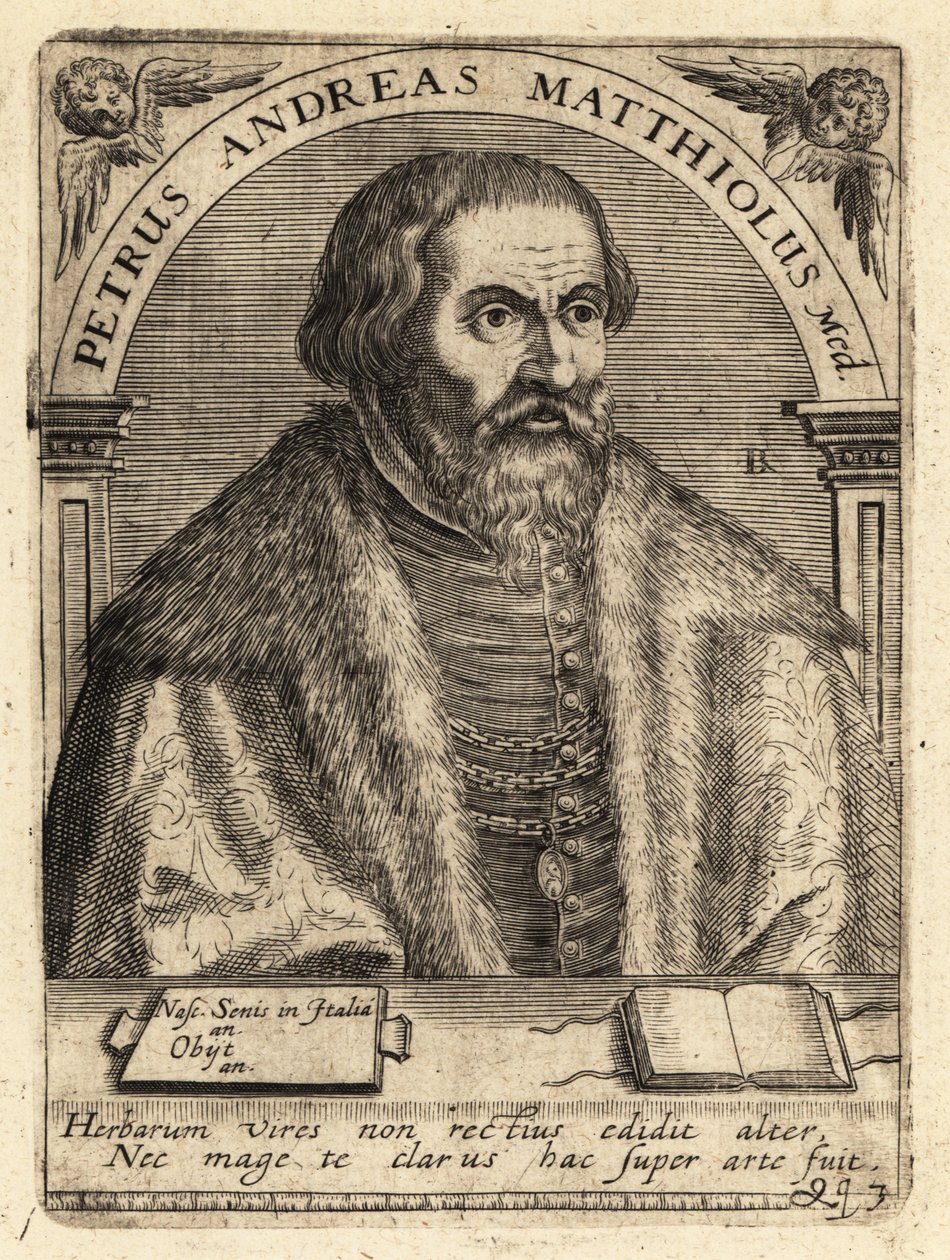 Pietro Andrea Gregorio Mattioli, italialainen lääkäri tekijältä Theodore de Bry