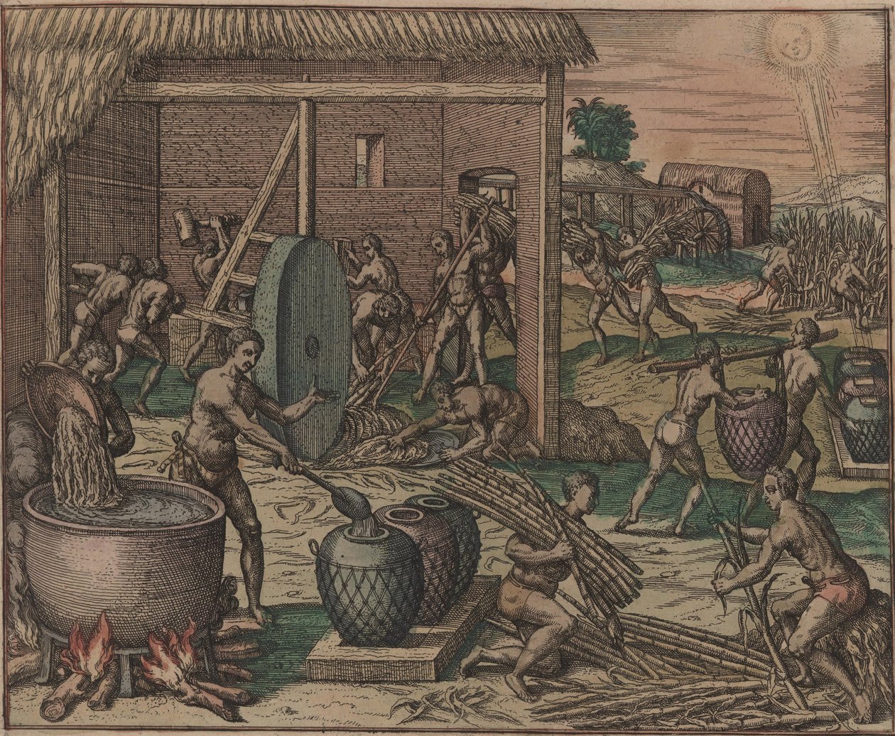 Orjat jalostavat sokeriruokoa ja valmistavat sokeria, 1595. tekijältä Theodore de Bry