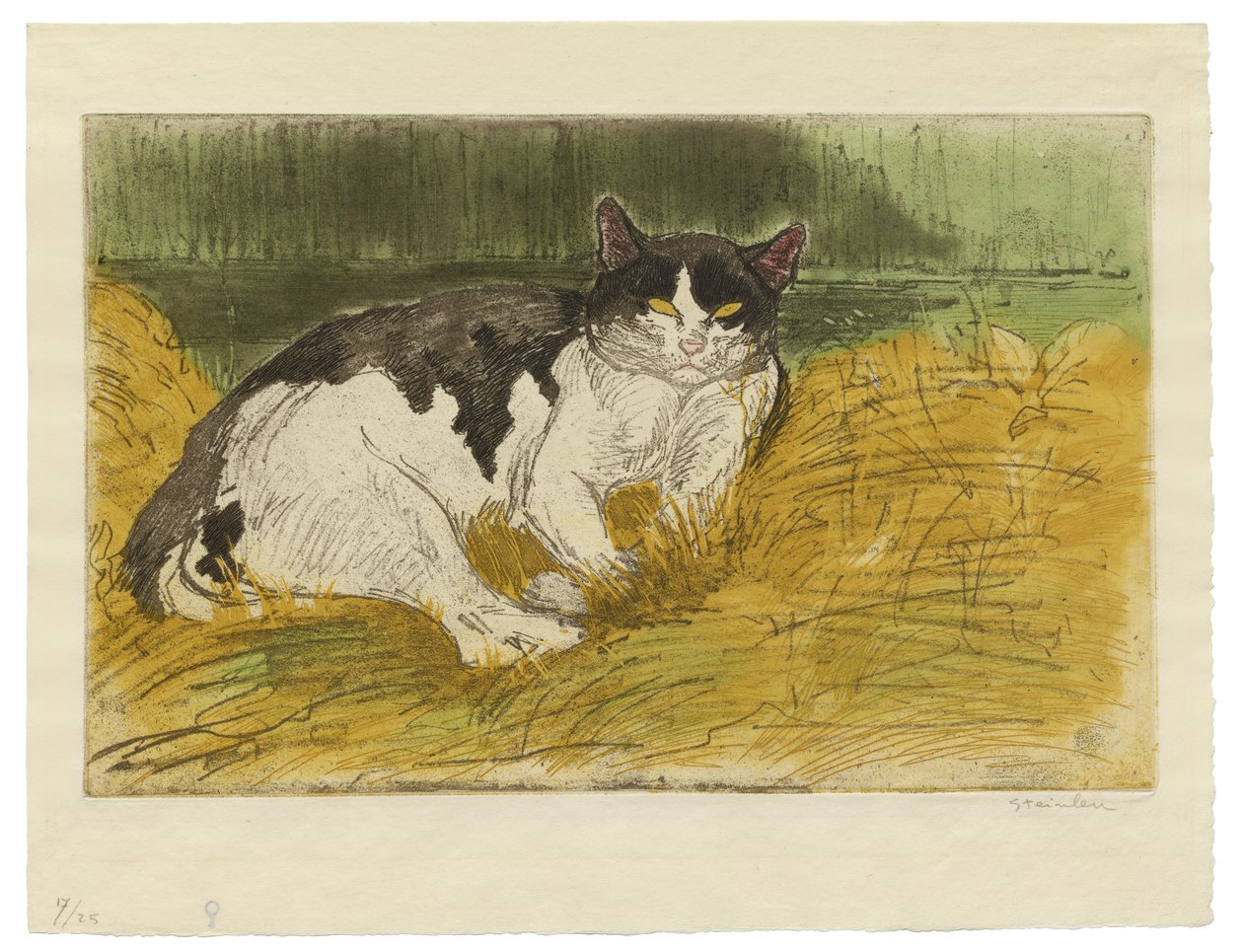 Vanha mustavalkoinen kissa nurmikolla tekijältä Théophile Alexandre Steinlen