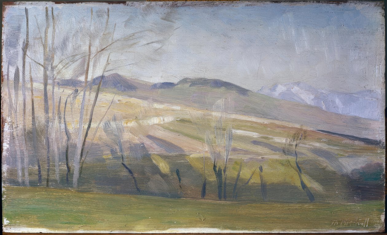 Lavaux