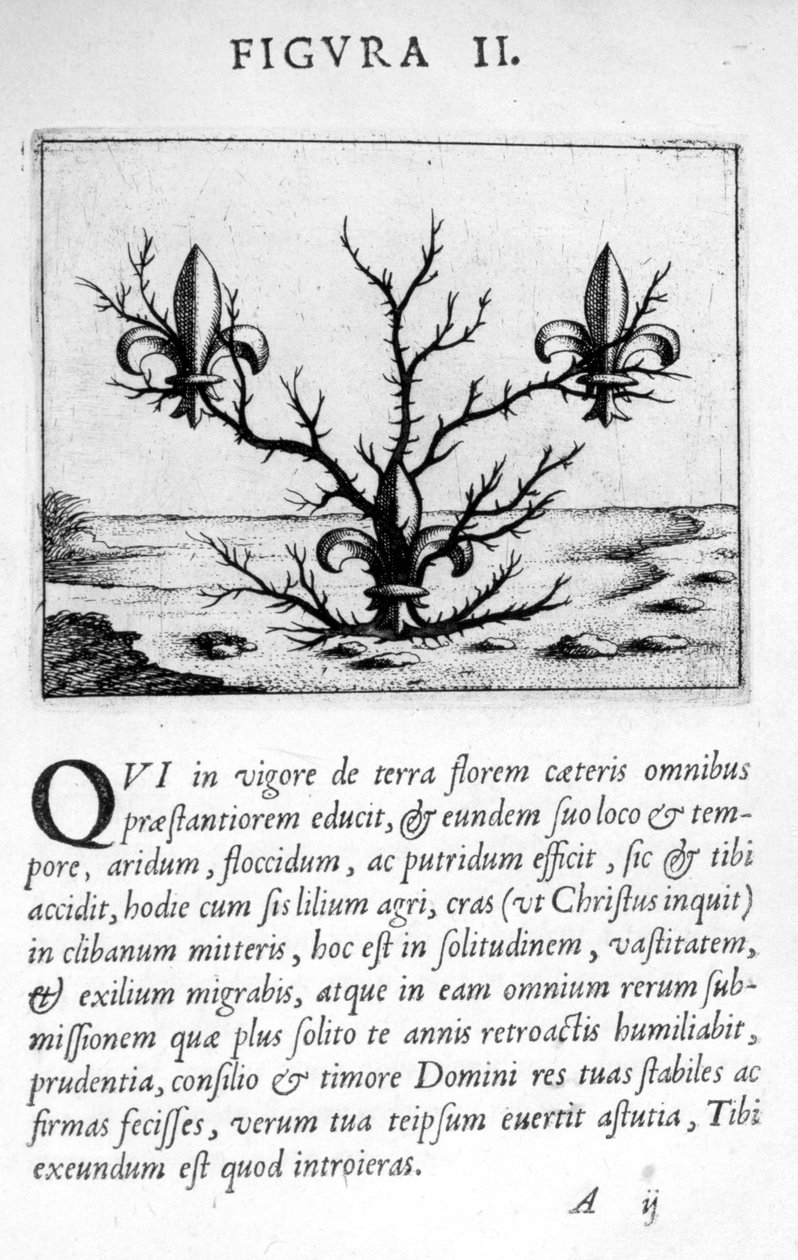 Profetiakuva II Eximii Doctor Paracelsuksen ennustuksesta, 1536 tekijältä Theophrastus Bombastus von Hohenheim Paracelsus