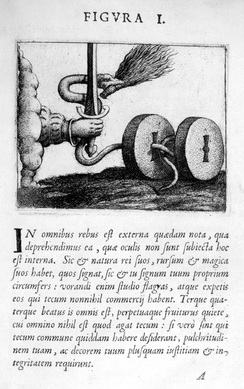 Profetiahahmo I kirjasta Prognosticatio eimii Doctoris Paracelsi, 1536 tekijältä Theophrastus Bombastus von Hohenheim Paracelsus