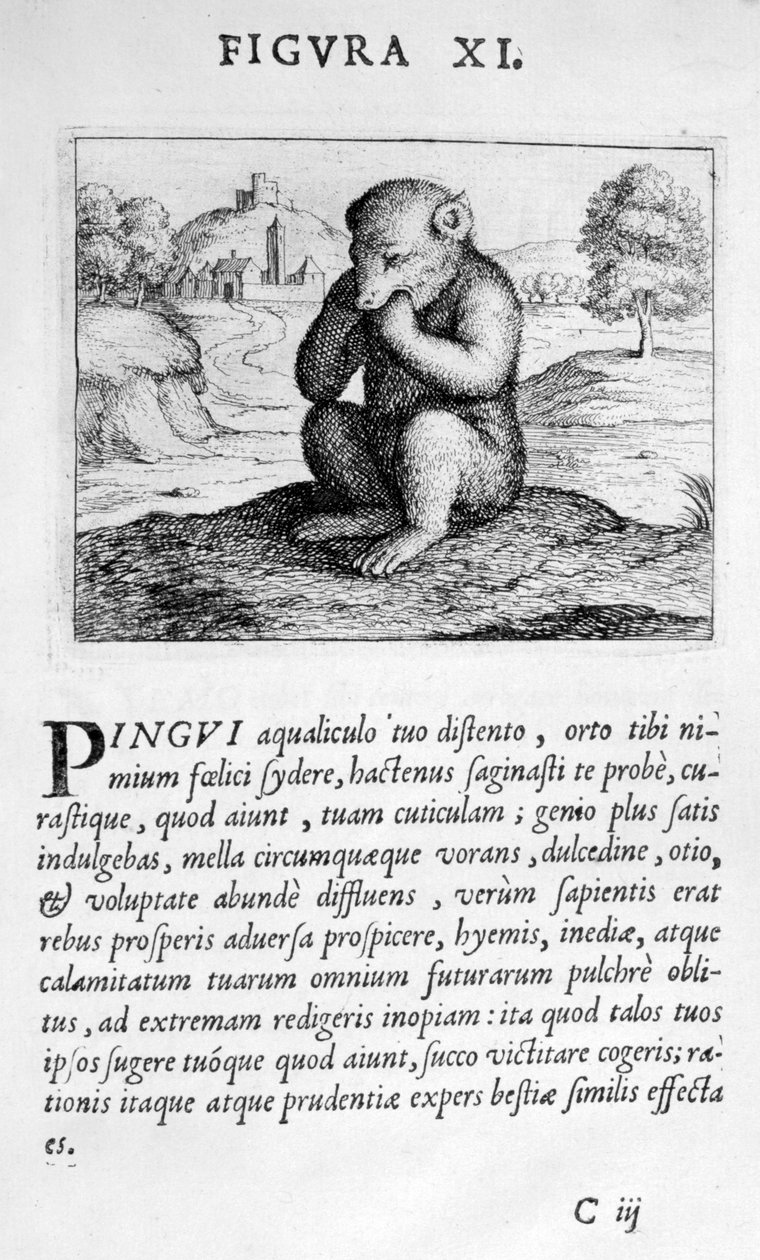 Profetiakuva XI Eximii Doctor Paracelsuksen ennustuksesta, 1536 tekijältä Theophrastus Bombastus von Hohenheim Paracelsus