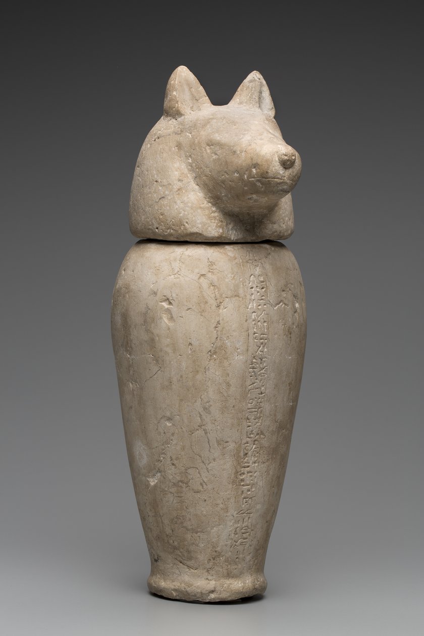 Canopic Jar Jackal