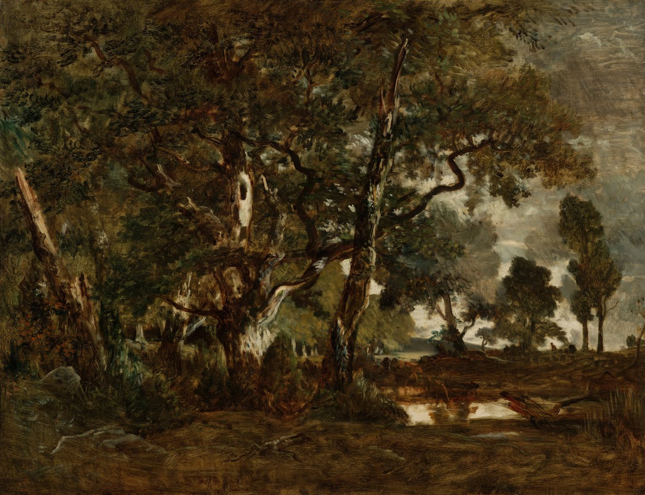 Fontainebleaun metsä, korkeiden puiden klusteri, josta on näkymät Clair-Boisin tasangolle Ba ... tekijältä Pierre Etienne Theodore Rousseau