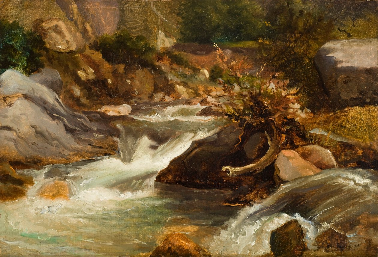 Maisematutkimus (La Source) n. 1830 (öljy paperille asennettuna paneeliin) tekijältä Pierre Etienne Theodore Rousseau