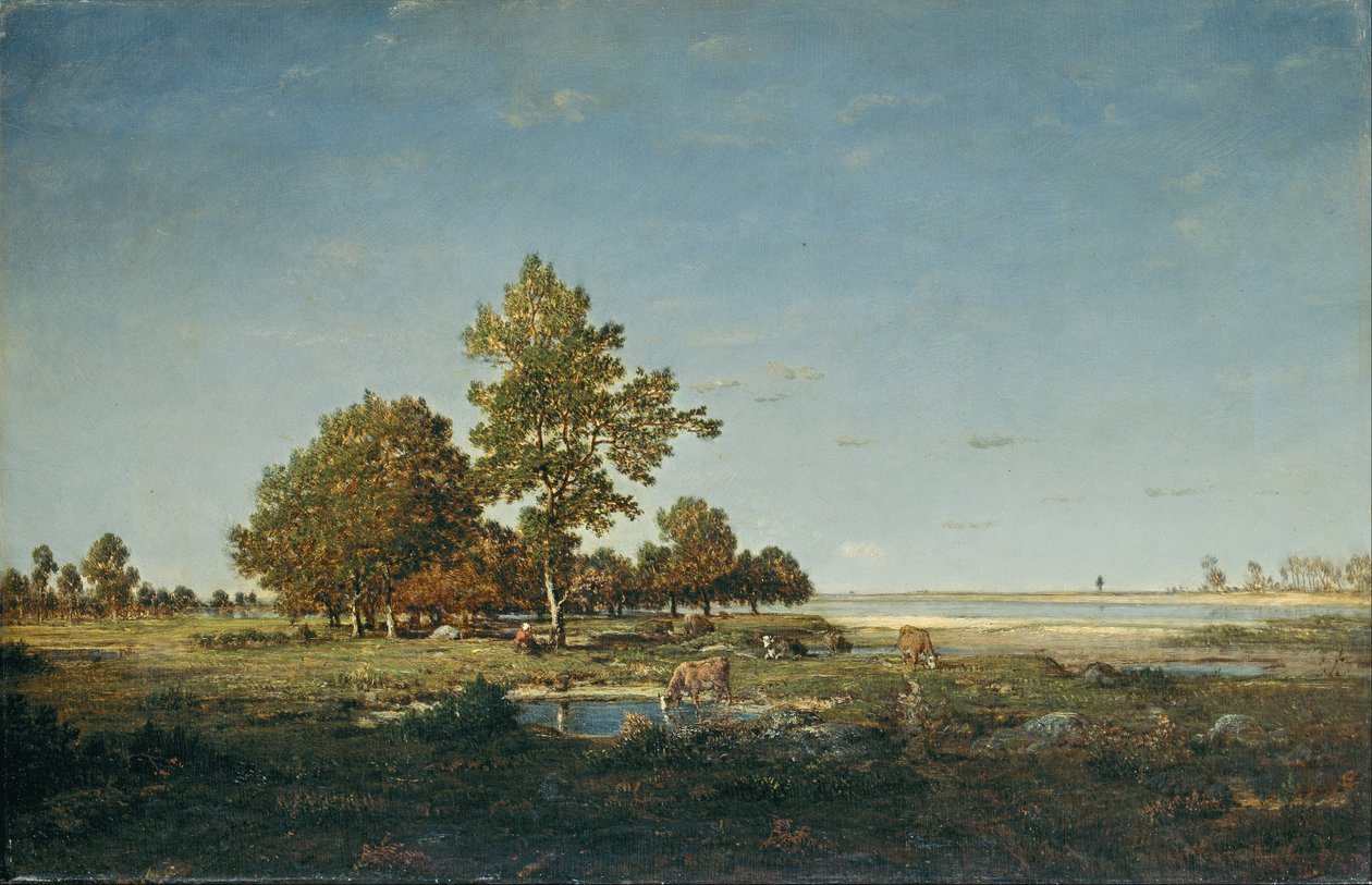 Maisema puiden kanssa tekijältä Pierre Etienne Theodore Rousseau