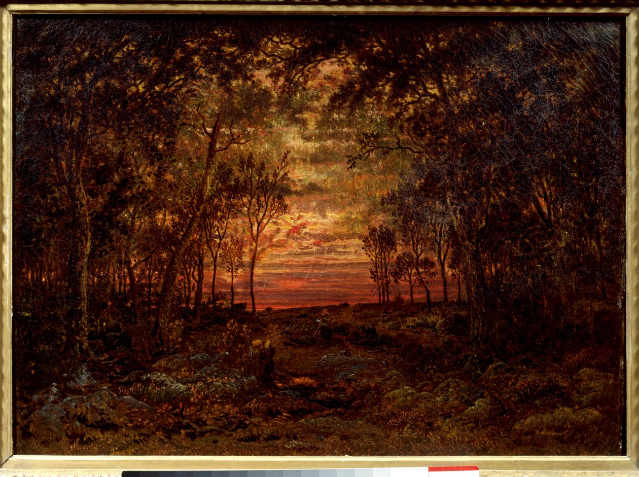 Auringonlasku metsässä Theodore Rousseaun (1812-1867) maalaus 1800-luvun Barbizon School. Himmeä. 0,46x0,62m. Öljy kankaalle. . tekijältä Pierre Etienne Theodore Rousseau