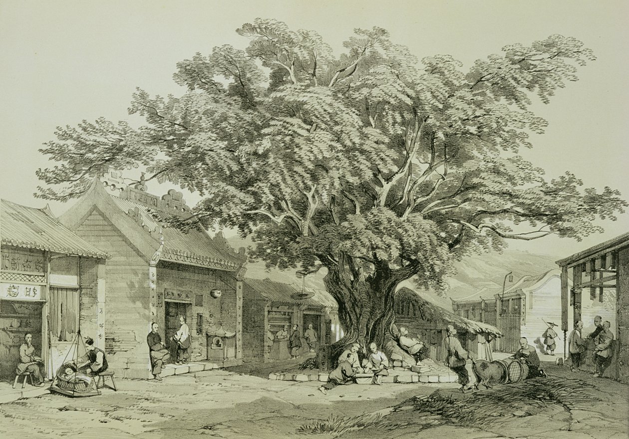 Temppeli, Macao, n. 1850 (kynä ja muste, lyijykynä, korotettu valkoisella paperilla) tekijältä Thomas Allom