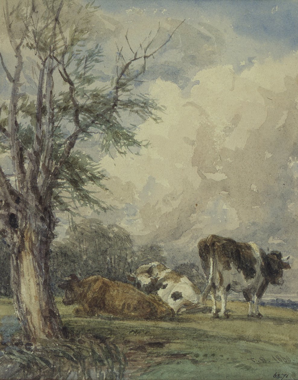 Tutkimus karjasta, 1800-luku tekijältä Thomas Baker