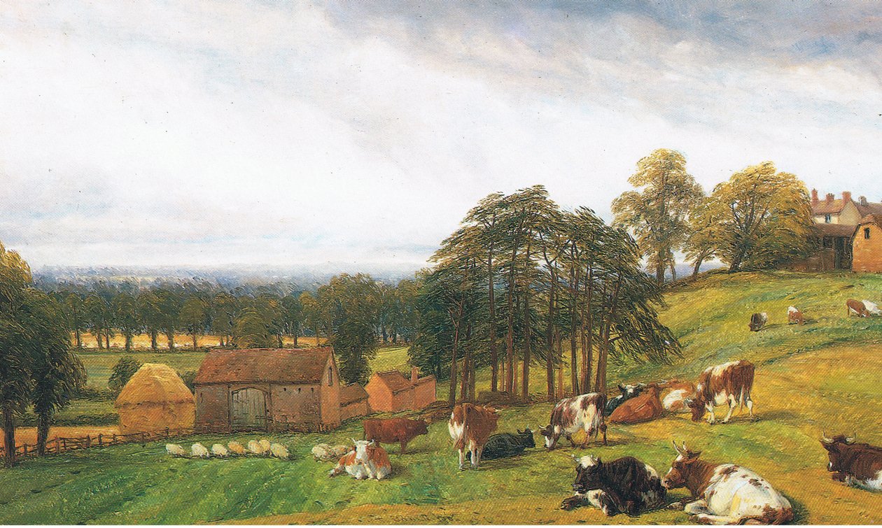 Nautakarja ja lampaat Old Park Farmilla tekijältä Thomas Baker