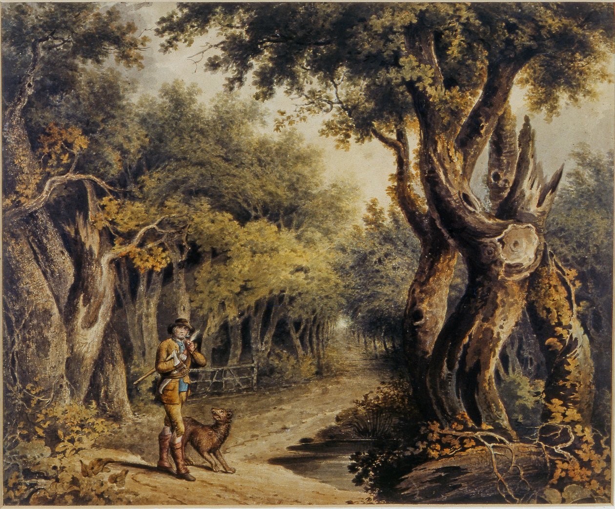 Metsäkohtaus Woodmanin ja koiran kanssa tekijältä Thomas Barker of Bath
