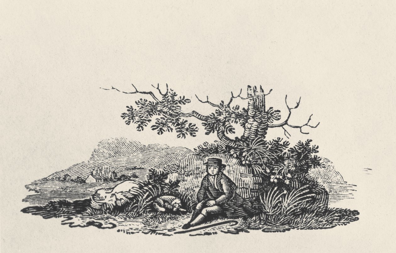 Huonekalut ja erilaiset esineet 1100- ja 1300-luvuilta tekijältä Thomas Bewick
