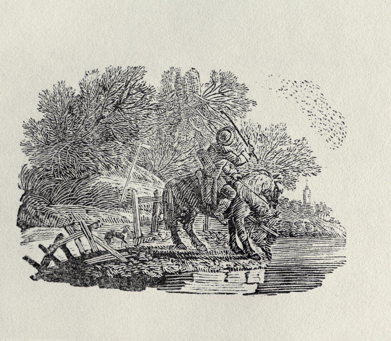 Lintuparvi häiritsee ratsastajaa (puukaiverrus) tekijältä Thomas Bewick