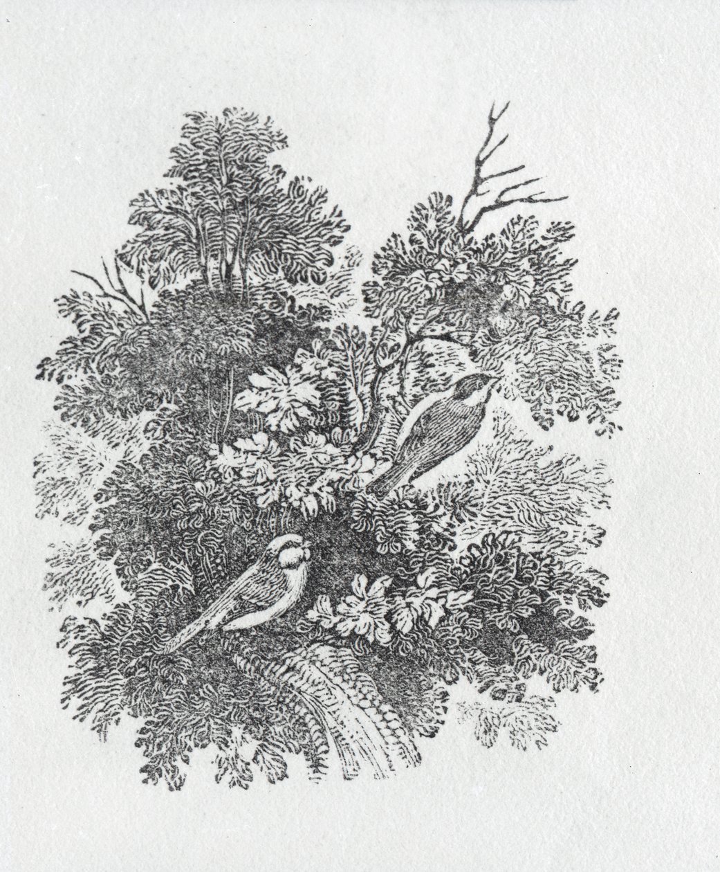 Huonekalut ja erilaiset esineet 1100- ja 1300-luvuilta tekijältä Thomas Bewick