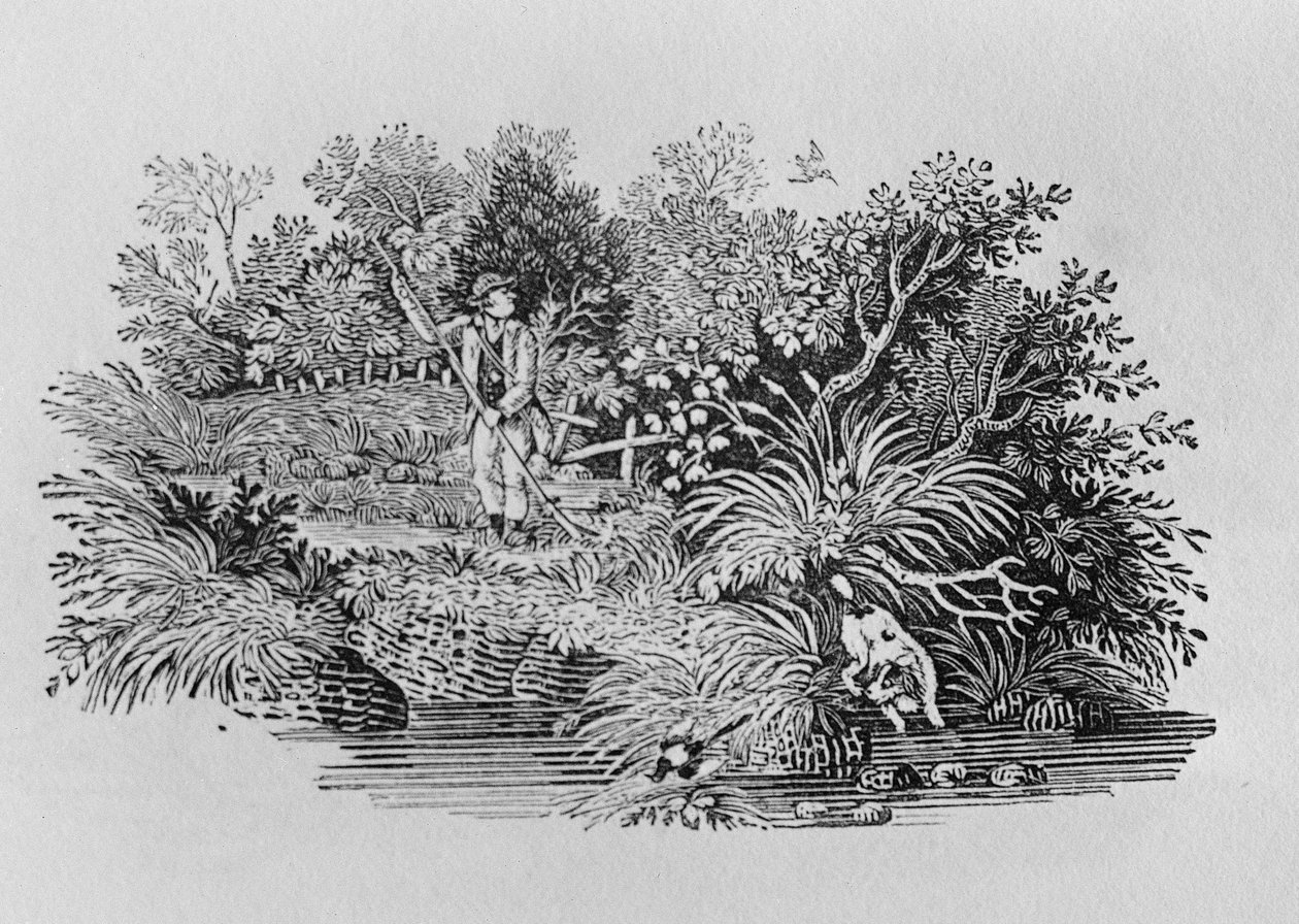 Etsitään laukausta, 1700-luvun loppu tai 1800-luvun alku (puukaiverrus). tekijältä Thomas Bewick