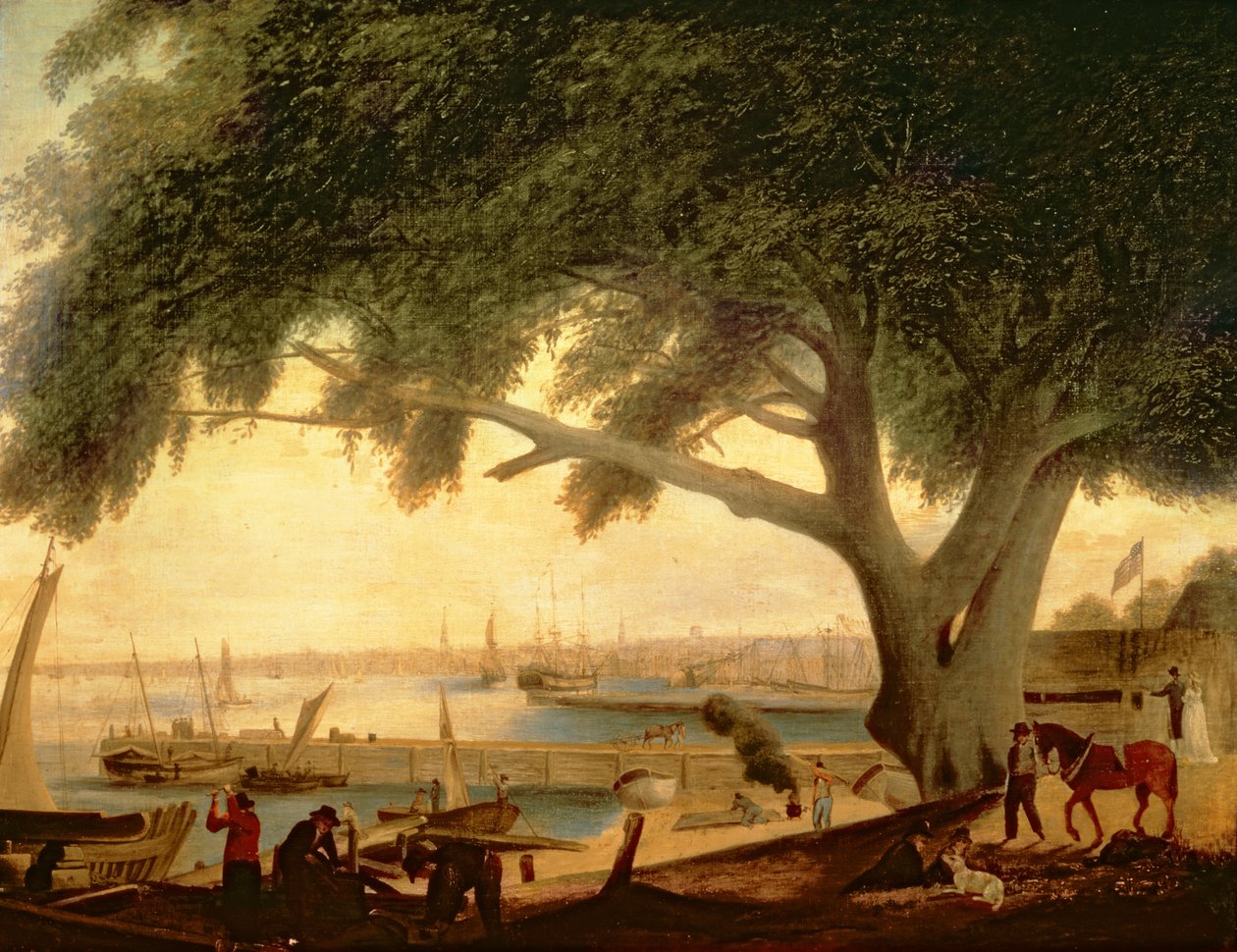 Pennin sopimuspuu tekijältä Thomas Birch