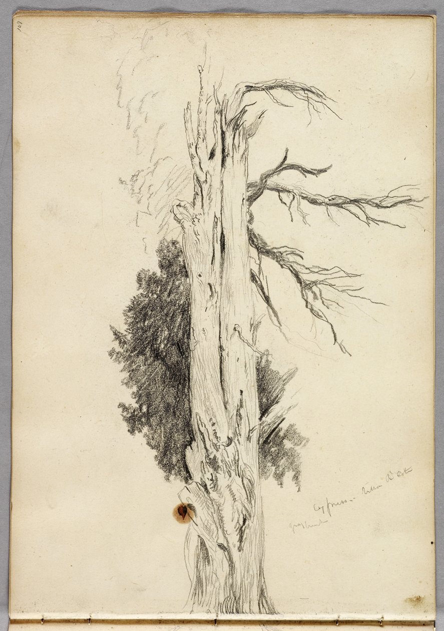 Cypress, Villa dEste, 1832 tekijältä Thomas Cole