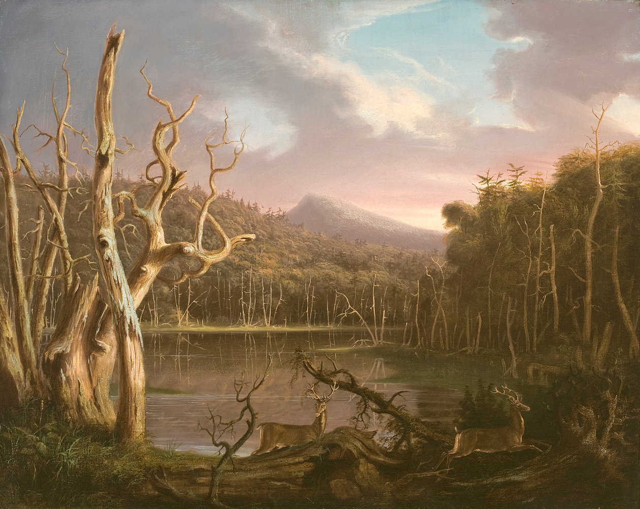 Järvi kuolleilla puilla (Catskill) tekijältä Thomas Cole