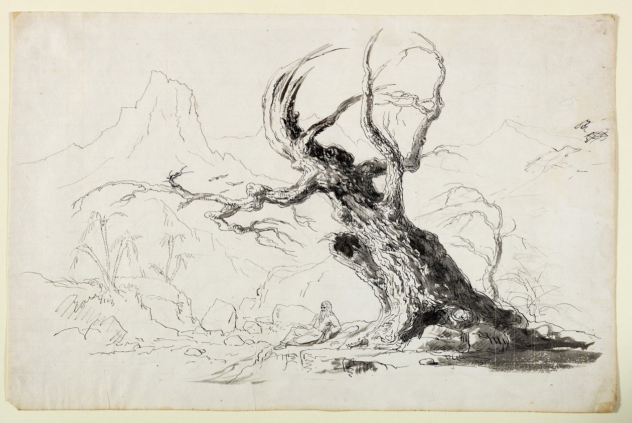 Suuri ryppyinen puu, jonka alapuolella istuu parrakas mies (kynä ja muste kynällä paperilla) tekijältä Thomas Cole
