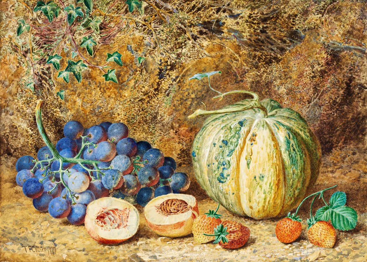 Viinirypäleet ja mansikat, 1877 tekijältä Thomas Collier