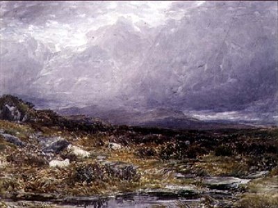 Siabod Flatsissa, Pohjois-Walesissa tekijältä Thomas Collier