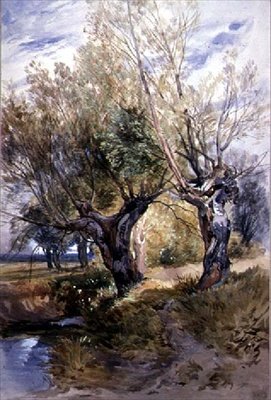Pollarit Windsor Meadowsissa tekijältä Thomas Collier