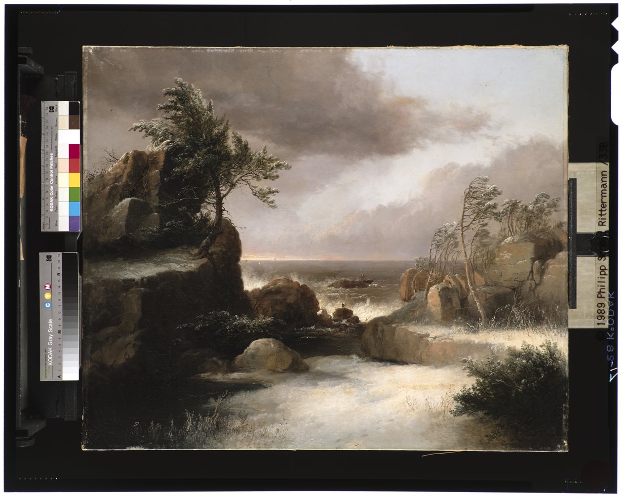 Haaksirikko, 1834 tekijältä Thomas Doughty
