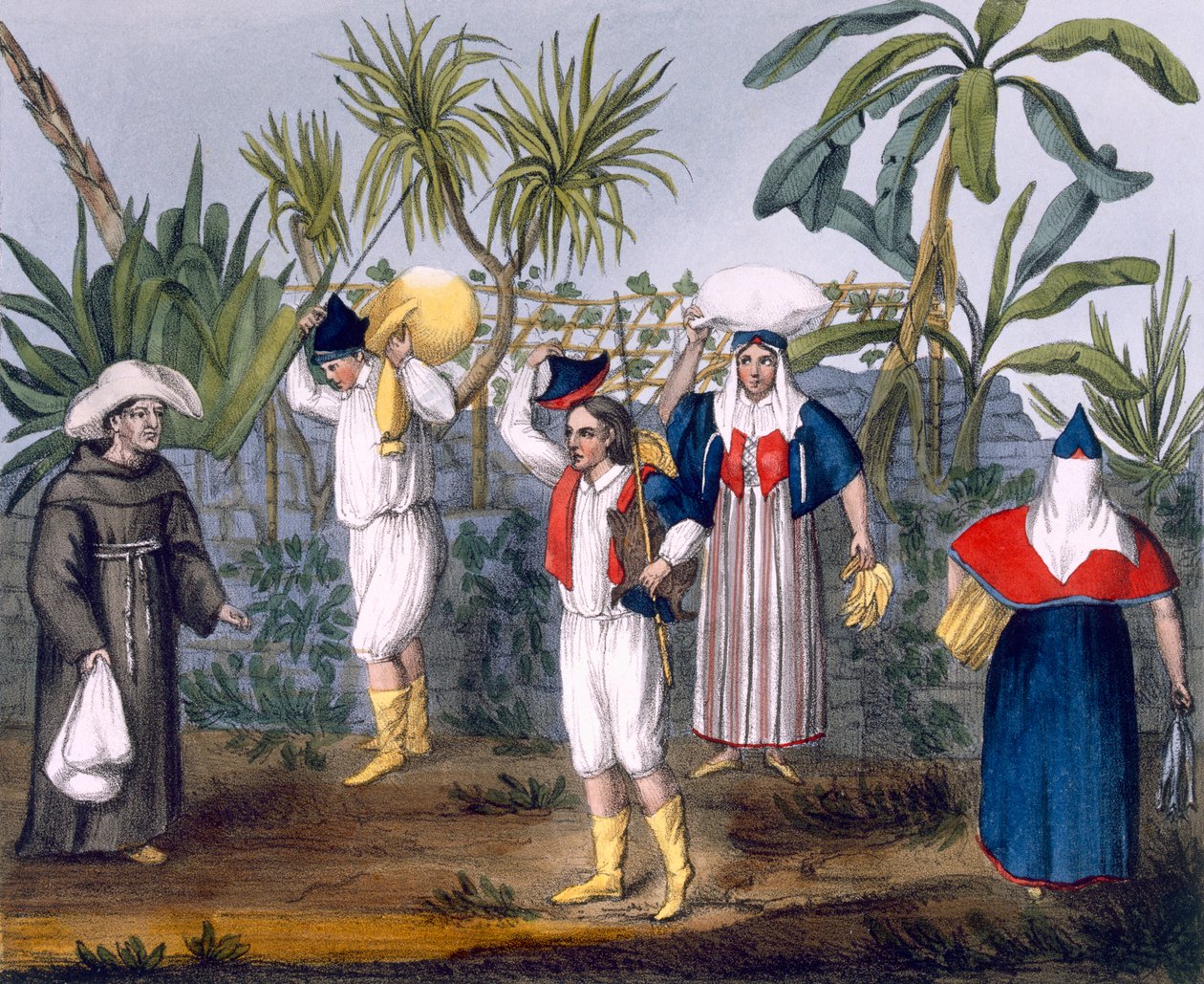 Gambian puku, laatta nro 9 teoksesta "Excursions in Madiera and Porto Santo...", pub. George B. Whittaker, Lontoo 1825. tekijältä Thomas Edward Bowditch