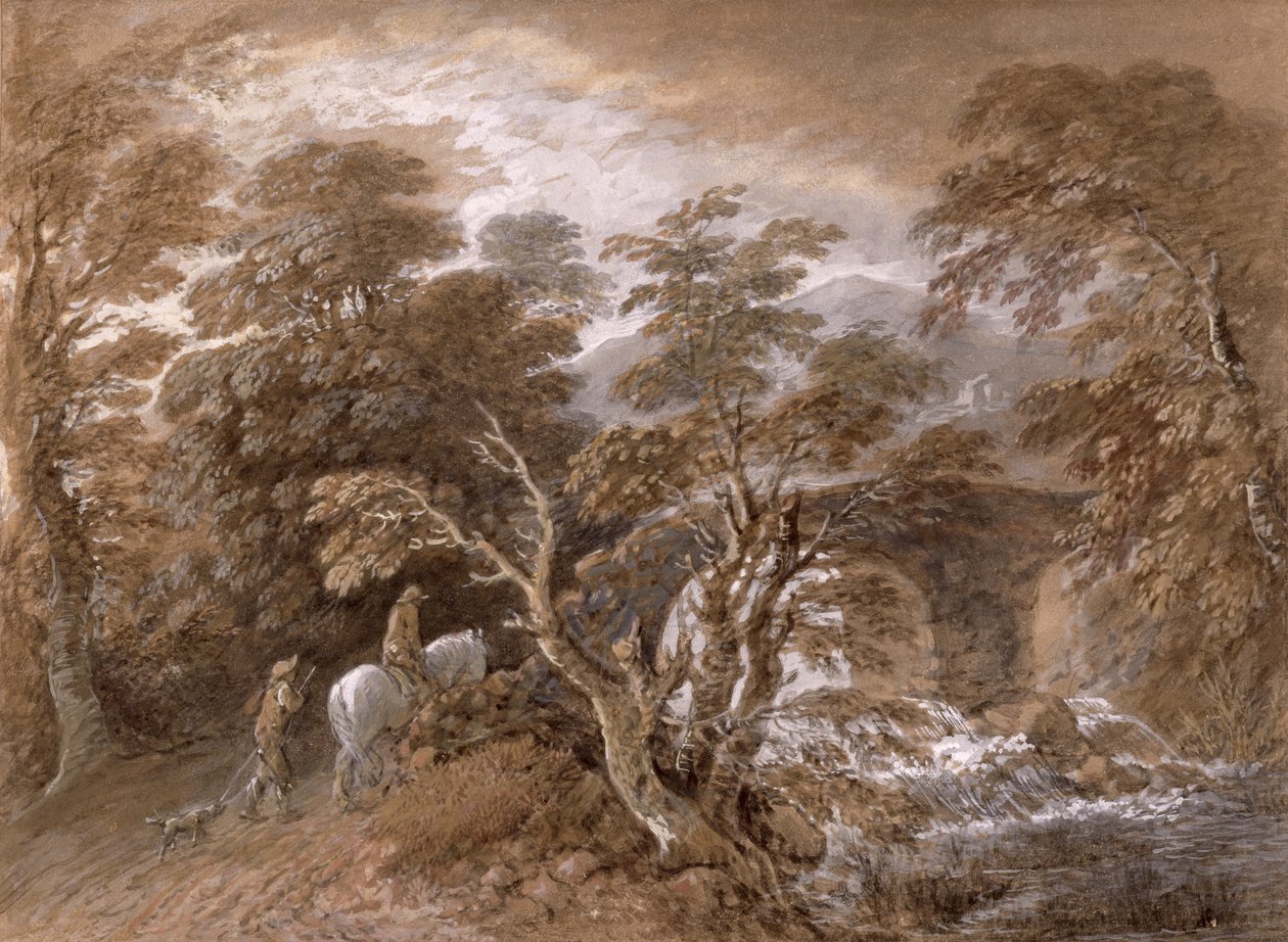 Metsäallas, jossa on kiviä ja kasveja, n. 1765-1770 (wc ja musta liitu grafiitin päällä öljymaalilla paperille) tekijältä Thomas Gainsborough